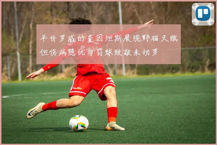平价罗威的奎因坦斯展现野猫天赋但伤病隐忧与罚球致敬米切罗