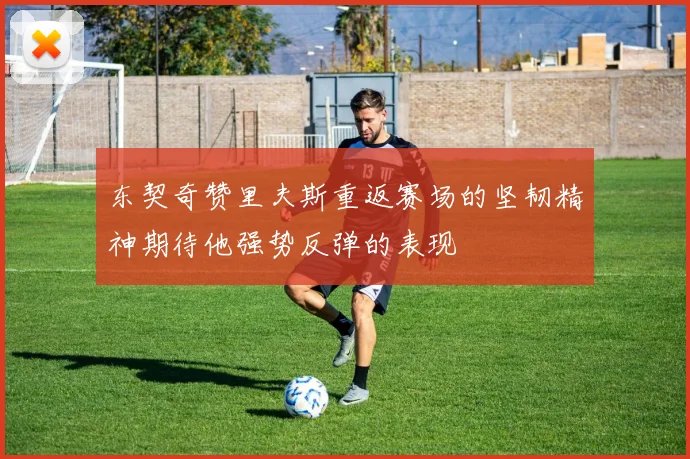 东契奇赞里夫斯重返赛场的坚韧精神期待他强势反弹的表现